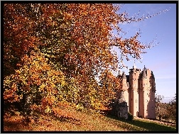 Szkocja, Zamek, Drzewo, Jesień, Craigievar